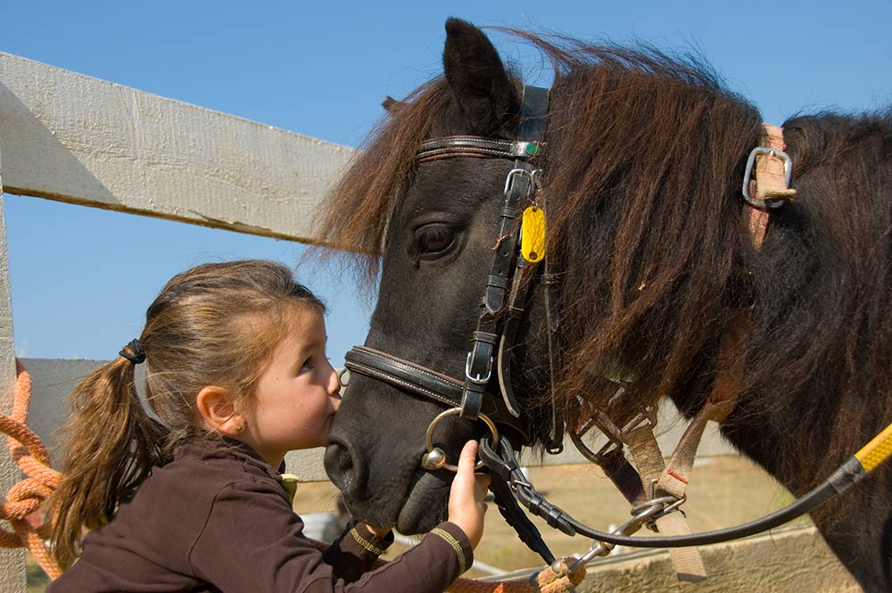 Reiten in Gastein