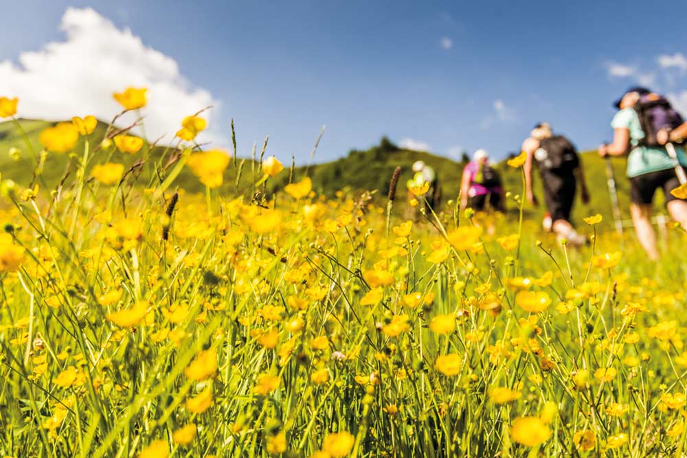 Wandern im Nationalpark